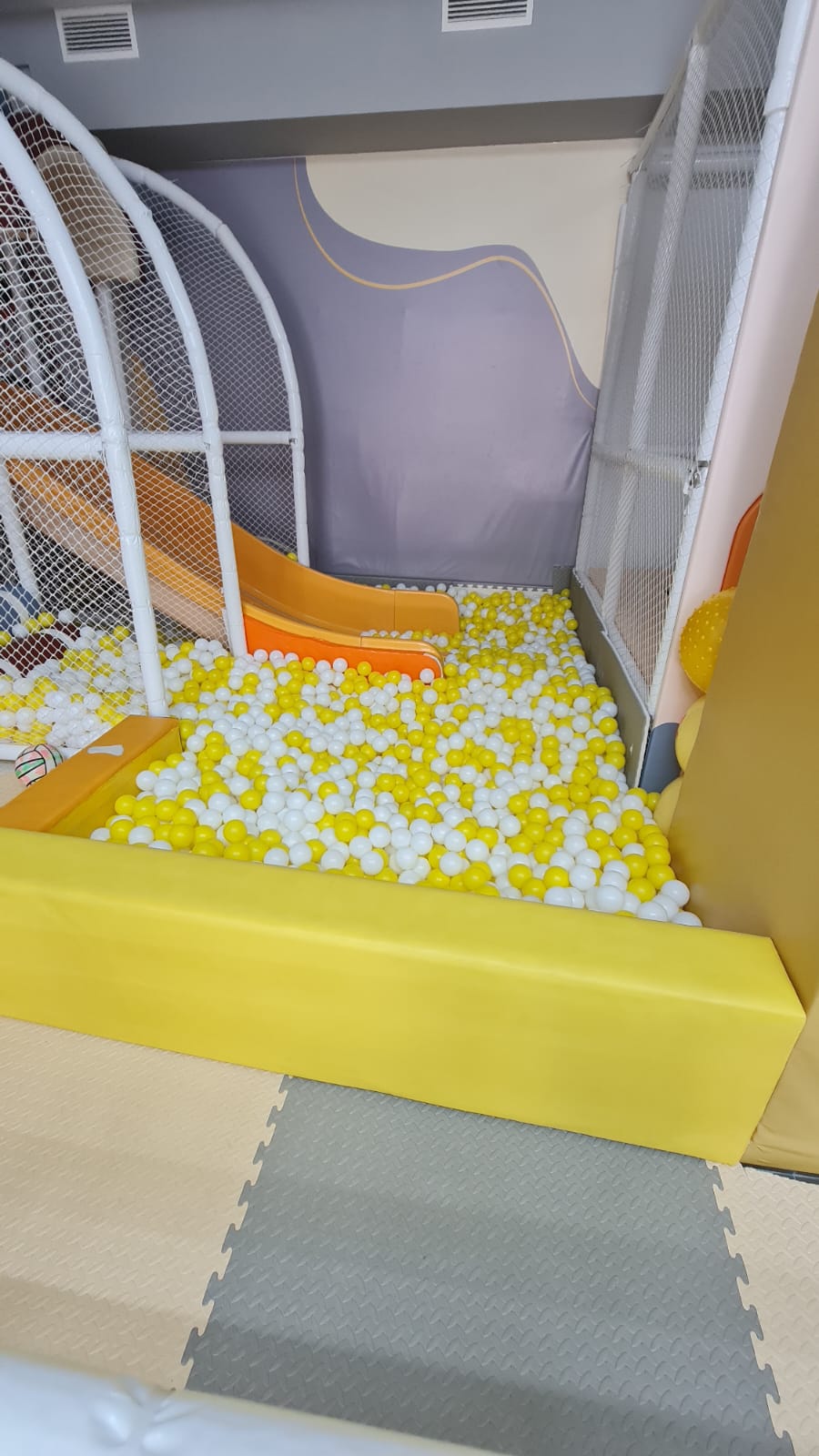 Ball Pit with Slide